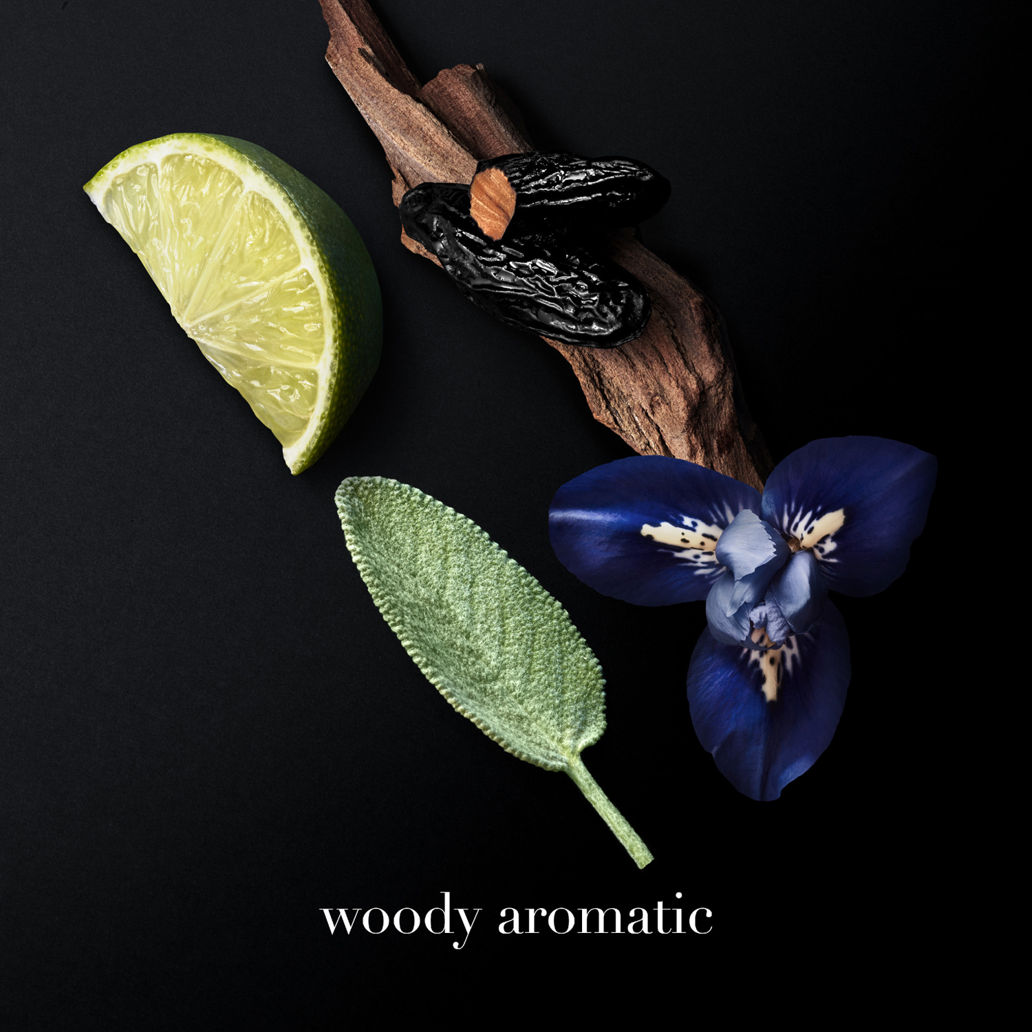 Armani Code