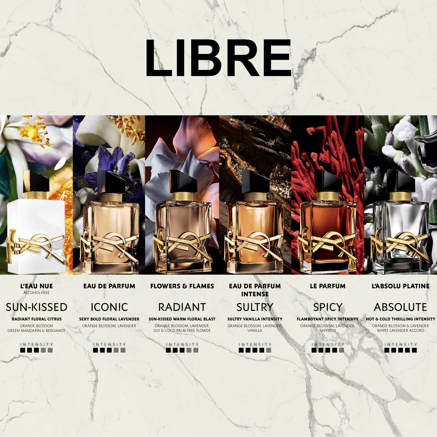 Libre