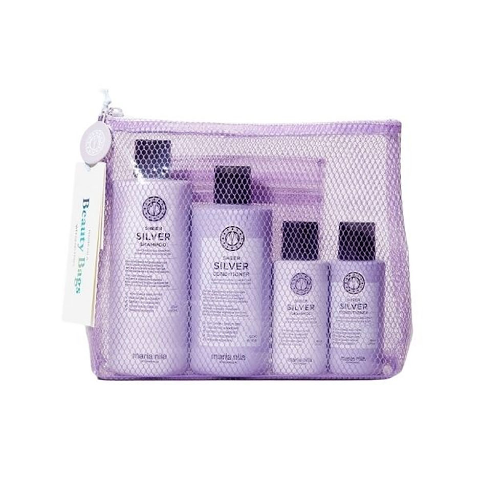Sheer Silver Beauty Bag