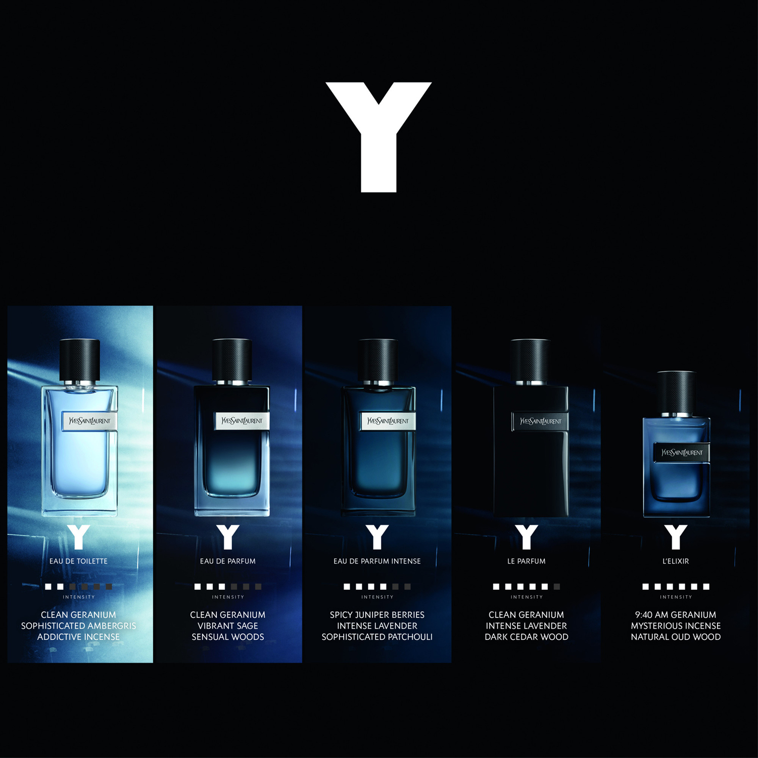Y