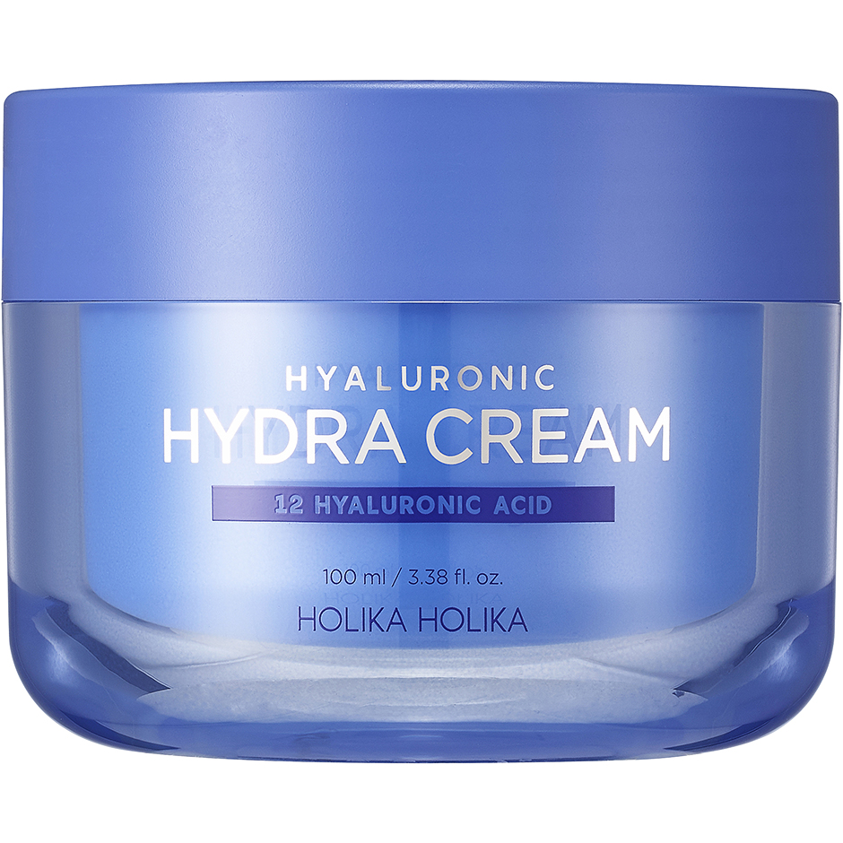 Hyaluronic Hydra Cream, 100 ml Holika Holika Dagkräm