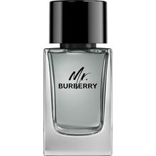 Burberry Mr. Burberry