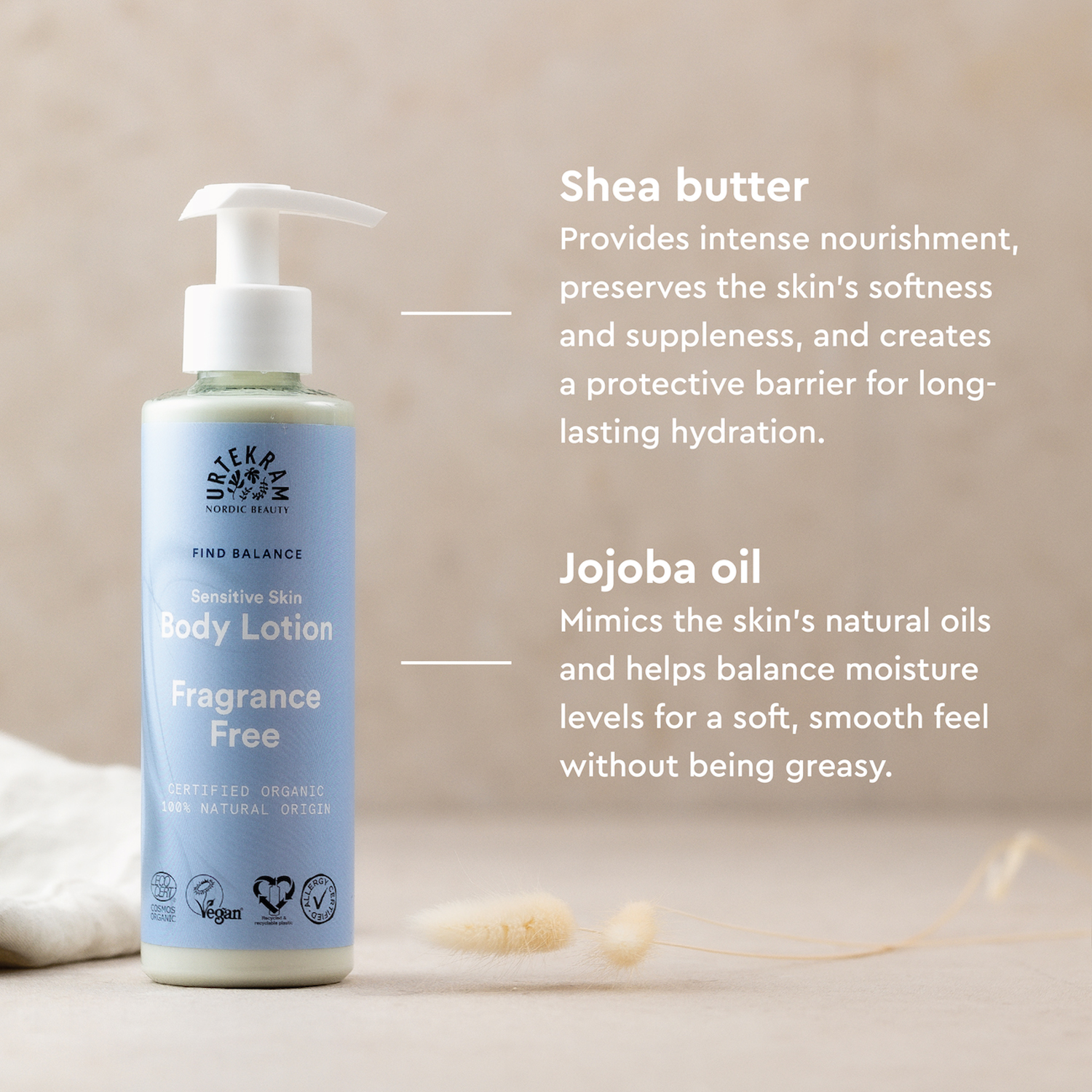 Body Lotion